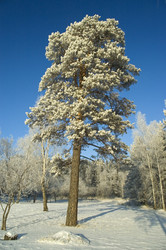 Similar image 379435