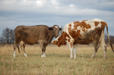 Similar image 379565