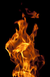 Similar image 379641