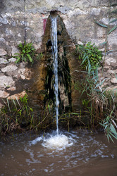 Similar image 379674