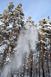 Similar image 379677