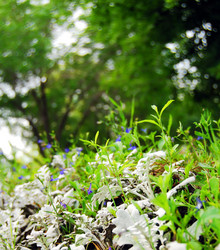 Similar image 379731