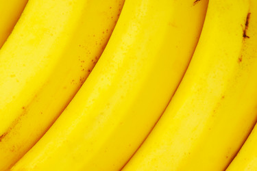 Similar image 379768