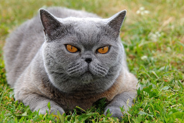 Similar image 379793