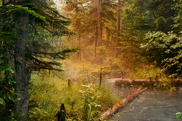 Similar image 379837