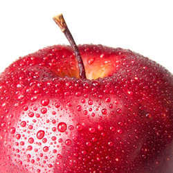 Similar image 379944