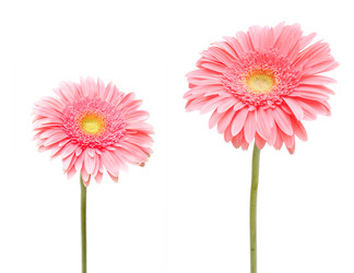 Similar image 379979