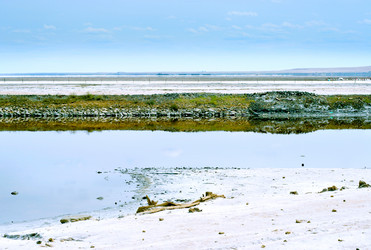 Similar image 379989