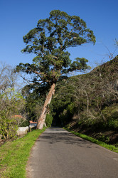 Similar image 380079