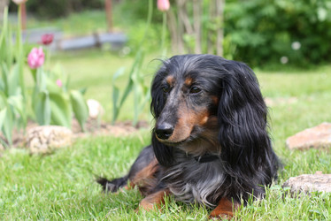 Similar image 380160