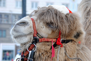 Similar image 380204