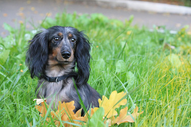 Similar image 380268