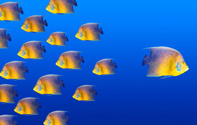 Similar image 380281