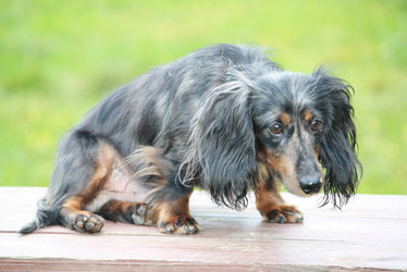 Similar image 380282