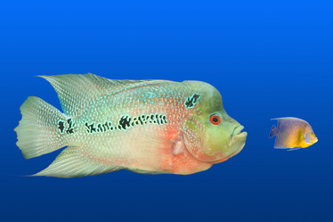 Similar image 380287