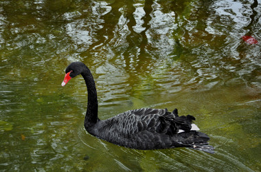 Similar image 380334