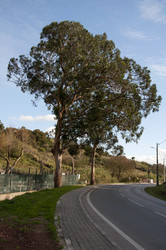 Similar image 380365