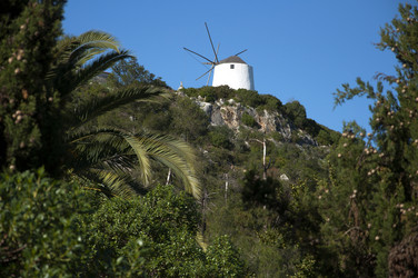 Similar image 380371