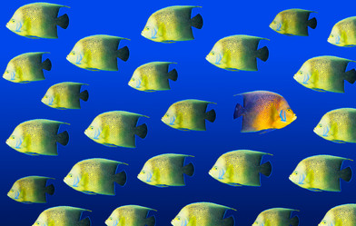 Similar image 380375