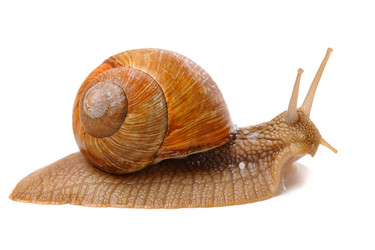 Similar image 380380