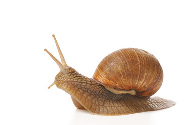 Similar image 380382