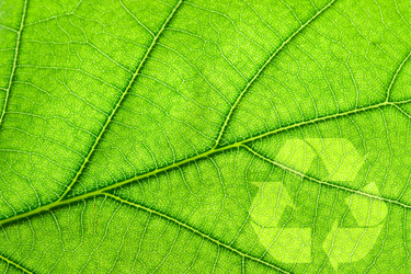 Similar image 380417