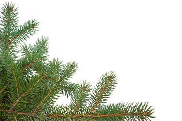 Similar image 380458