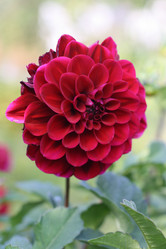 Similar image 380600