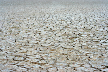 Similar image 380642