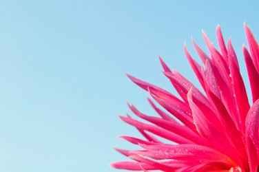 Similar image 380693