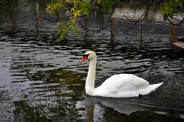 Similar image 380705