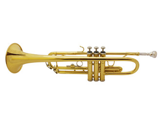 Similar image 380855