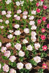 Similar image 380902