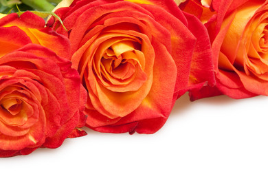 Similar image 380908