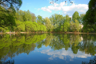 Similar image 381044