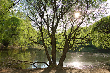 Similar image 381053