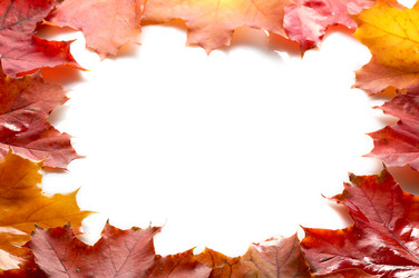 Similar image 381093