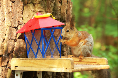 Similar image 381134