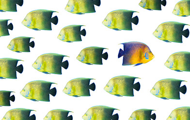 Similar image 381145