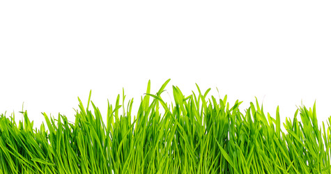 Similar image 381254