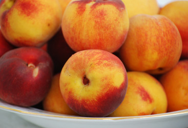 Similar image 381261