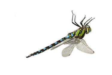 Similar image 381265