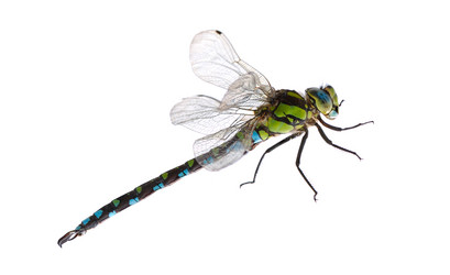 Similar image 381266