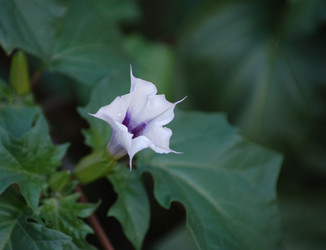 Similar image 381271