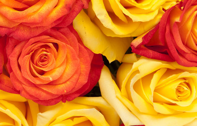 Similar image 381303