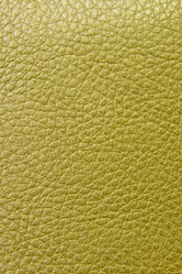 Similar image 381369