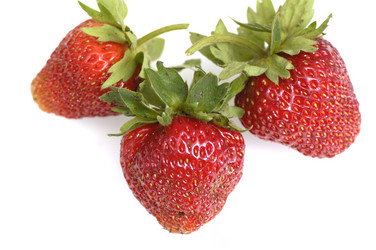 Similar image 381377