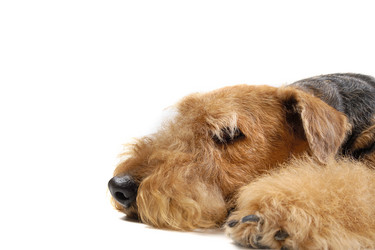 Similar image 381404