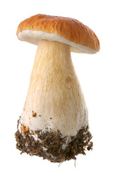 Similar image 381418