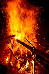 Similar image 381449